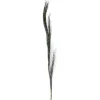 52"Steppe Grassdark Green (Soft Long Needle Pine)   (Set of 24)