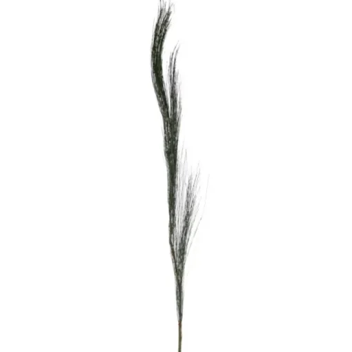 52"Steppe Grassdark Green (Soft Long Needle Pine)   (Set of 24)