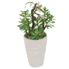 Succulent Garden in White Layered Pot