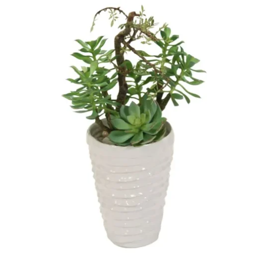 Succulent Garden in White Layered Pot
