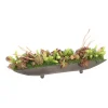 Succulents in Bronze Tray