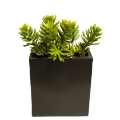 Succulents in Tall Metal Pillow Vase (Set of 2)