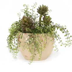 Succulents with Button Fern in Beige Planter