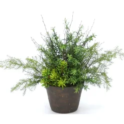 Succulents with Rosemary and Pine in a Clay Pot