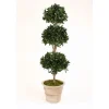 6.5' Sweet Bay Laurel 3-Ball Topiary in Natural Stone-Finish Terra Cotta Garden Pot