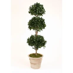 6.5' Sweet Bay Laurel 3-Ball Topiary in Natural Stone-Finish Terra Cotta Garden Pot