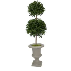 5' Sweet Bay N Large Urn