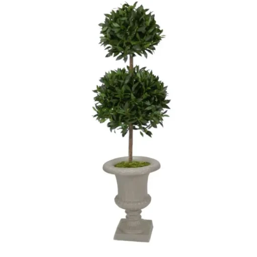 5' Sweet Bay N Large Urn