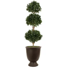 Sweet Bay Triple Ball Topiary in Concrete Urn