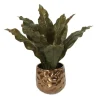 Tacca Orchid Leaves in Bronze Planter