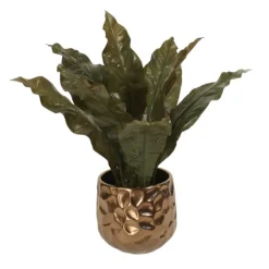 Tacca Orchid Leaves in Bronze Planter
