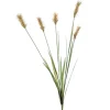THISTLE (PAMPAS GRASS) ROSE GREEN - Set of 12