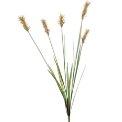 THISTLE (PAMPAS GRASS) ROSE GREEN - Set of 12