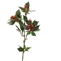 Trochodendron Spray x 3