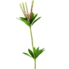 Tropical Seeded Pick in Red Green  (Sold in Multiples of 24)