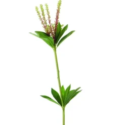 Tropical Seeded Pick in Red Green  (Sold in Multiples of 24)