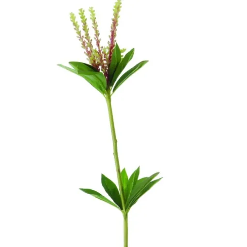Tropical Seeded Pick in Red Green  (Sold in Multiples of 24)