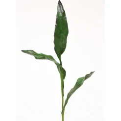 Tulip Leaves Bush in Green (Sold in Multiples of 12)