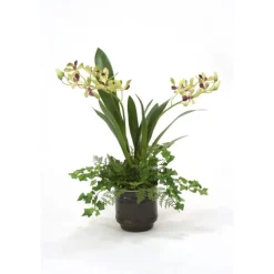 Vanda Orchid in Dark Bronze Pot