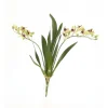 18" Vanda Orchid with Plant in Green  (Sold in Multiples of 8)