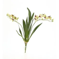 18" Vanda Orchid with Plant in Green  (Sold in Multiples of 8)