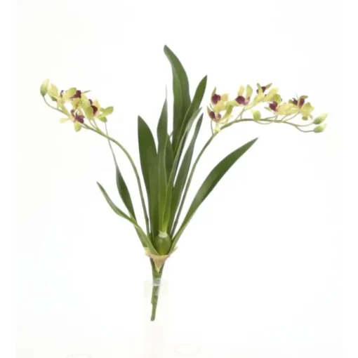 18" Vanda Orchid with Plant in Green  (Sold in Multiples of 8)