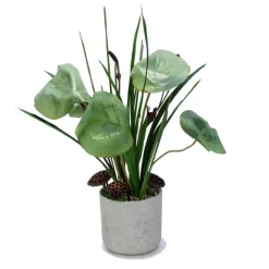 Waterlilies in a Grey Stone Planter