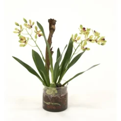 Waterlook® Amethyst Green Vanda Orchid with Plant in Glass Cylinder