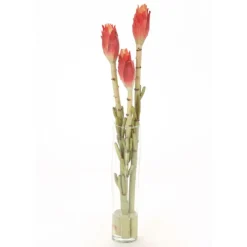 Waterlook® Banana Buds in Tall Cylinder