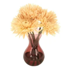 Waterlook® Beige Spider Gerbera Daisies in Plum Glass Vase (Sold in Multiples of 2)