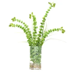 Waterlook® Belles of Ireland and Grass in Rectangle Glass Vase