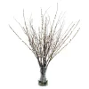 Waterlook® Birch, Pussy Willow Branches in Glass Cylinder