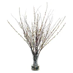 Waterlook® Birch, Pussy Willow Branches in Glass Cylinder