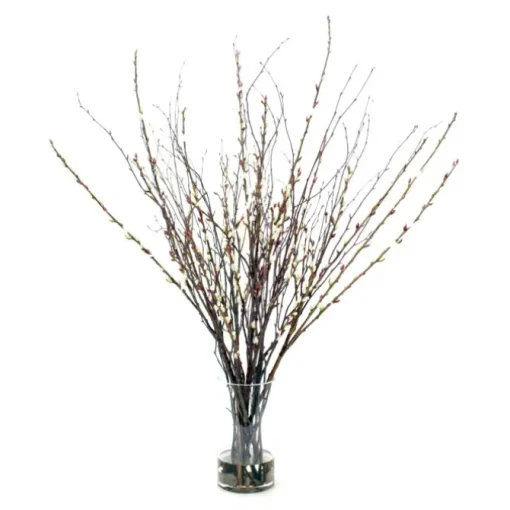 Waterlook® Birch, Pussy Willow Branches in Glass Cylinder