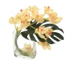 Waterlook® Champagne-Burgundy Cymbidium Orchids with Split Philo Leaf in Curved Rectangular Glass Vase