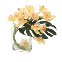 Waterlook® Champagne-Burgundy Cymbidium Orchids with Split Philo Leaf in Curved Rectangular Glass Vase