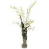 Waterlook® Cream White Dendrobium Orchids with Grass and Bamboo in Glass Cylinder