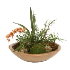 Waterlook® Exotic Garden with Orchids, Moss and Lichen Balls in Bowl