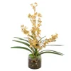 Waterlook® Gold-Green Oncidium Orchid Garden Mix in Clear Cylinder Glass Vase