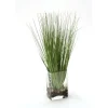 Waterlook® Grass in Rectangular Glass