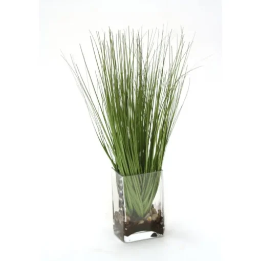 Waterlook® Grass in Rectangular Glass