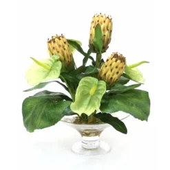Waterlook® Green Anthuriums, Proteas and Leaves in Glass Compote
