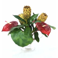 Waterlook® Red Antheriums, Proteas and Fan Palms in Glass Compote