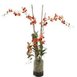 Waterlook® Rust Dendrobium Orchid Plant with Moss in Glass Cylinder