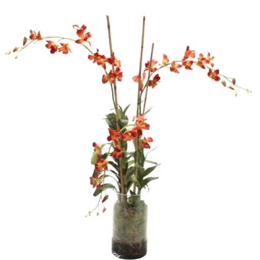 Waterlook® Rust Dendrobium Orchid Plant with Moss in Glass Cylinder