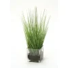 Waterlook® Two Tone Green Grass in Square Glass Cube