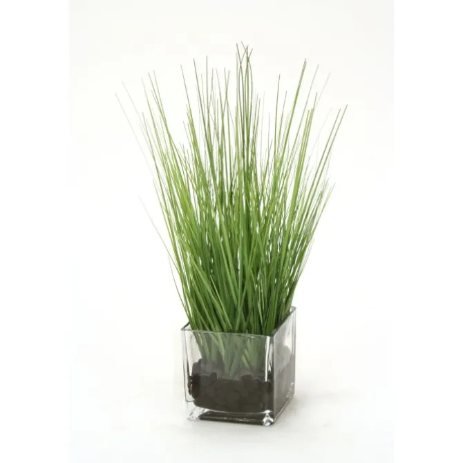 Waterlook® Two Tone Green Grass in Square Glass Cube