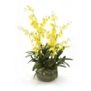 Yellow Oncidium Orchids Mixed with Succulents in Green Garden Pot