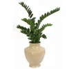 Zz Plant in Shellish Sand Planter